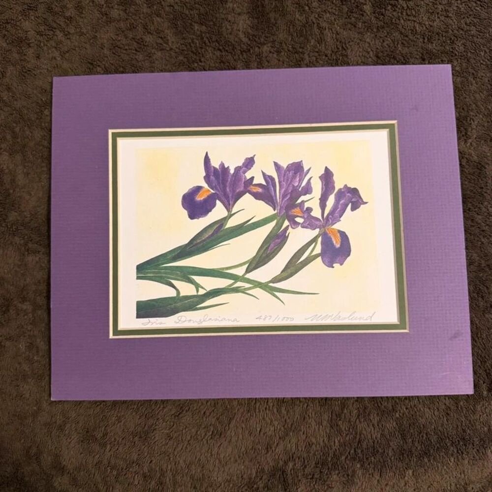Limited Edition Botanical Art Print: Iris Douglasiana Signed by W. M. Lund